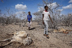 Darurat Pemanasan Global! Kenaikan Suhu di Indonesia Bisa Capai 4 Derajat