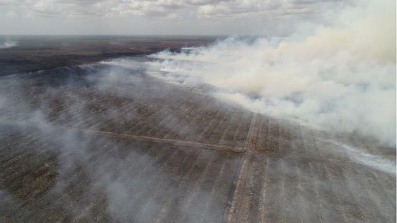 Hari Ke-10 Pemadaman Kebakaran Lahan Gambut di Riau