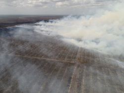 Perusahaan Sawit Divonis Bebas, Ini Penampakan Hutan 2.600 Ha yang Terbakar