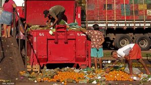 Prihatin! Warga Brasil Kais Sisa-sisa Buah dan Sayur Buangan