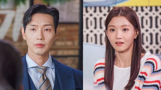 Drakor Young Lady and Gentleman