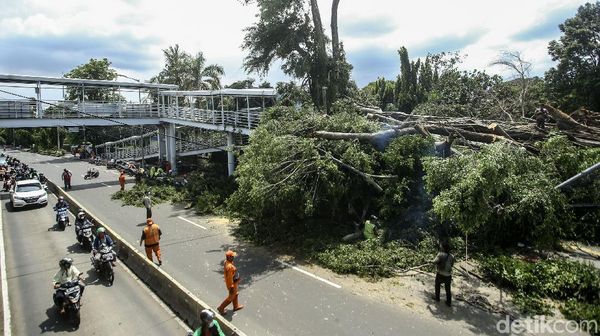 Brak! Dua Pohon di Jaktim Tumbang dan Timpa JPO-Tiang Listrik