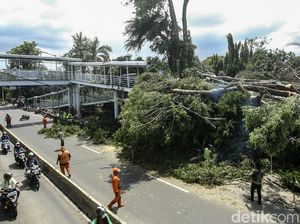 Brak! Dua Pohon di Jaktim Tumbang dan Timpa JPO-Tiang Listrik