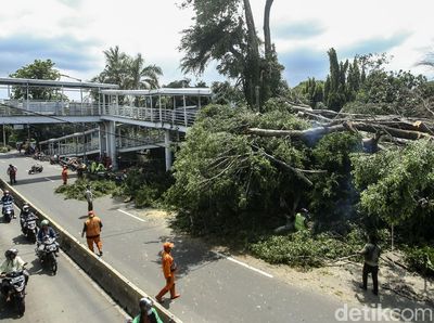 Brak! Dua Pohon di Jaktim Tumbang dan Timpa JPO-Tiang Listrik