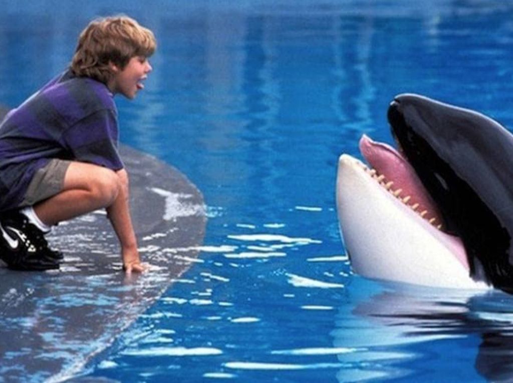 Kisah Jason James Richter, Bocah Imut di Free Willy yang Sempat Dipenjara Kisah Jason James Richter, Bocah Imut di Free Willy yang Sempat Dipenjara