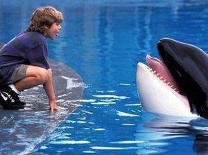 Kisah Jason James Richter, Bocah Imut di Free Willy yang Sempat Dipenjara Kisah Jason James Richter, Bocah Imut di Free Willy yang Sempat Dipenjara