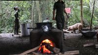 Ini Dapur Umum Pemberontak di Kolombia yang Sajikan 10 Ribu Porsi Makanan