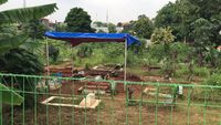 Kondisi Berbeda Makam Vanessa Angel dan Bibi