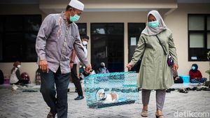 Hari Puspa dan Satwa, Sederet Hewan Kesayangan Disuntik Vaksin