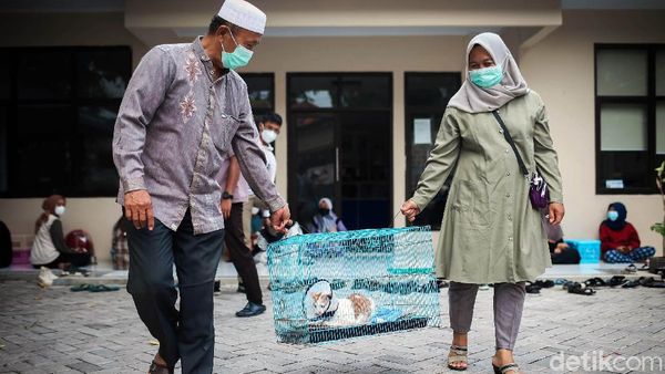 Hari Puspa dan Satwa, Sederet Hewan Kesayangan Disuntik Vaksin