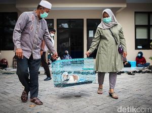 Hari Puspa dan Satwa, Sederet Hewan Kesayangan Disuntik Vaksin