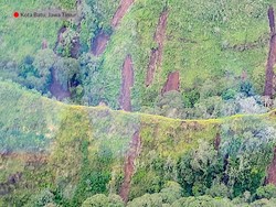 Melihat Lebih Jelas Longsoran Penyebab Banjir Bandang di Batu