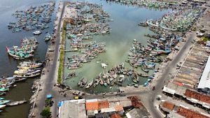 Wow! Ini Dia Pelabuhan Ikan Terbesar di Jawa