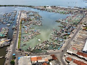 Wow! Ini Dia Pelabuhan Ikan Terbesar di Jawa Wow! Ini Dia Pelabuhan Ikan Terbesar di Jawa