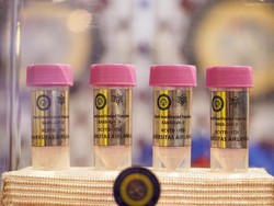 Tim-Ilmuwan Vaksin Merah Putih Akan Awasi KIPI Relawan Tiap Hari