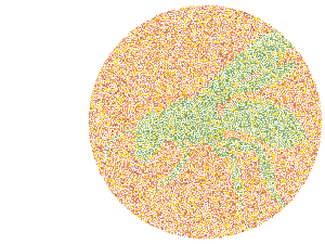 Nggak Bisa Tebak Gambar Hewan Ini? Bisa Jadi Kamu Buta Warna