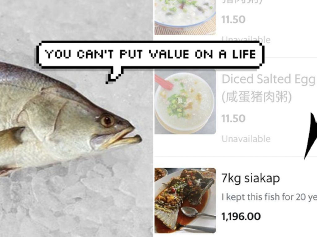 Viral Ketok Harga Ikan Rp 4,1 Juta, Resto Ini Jual Olahan Ikan Peliharaan 20 Tahun