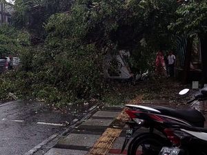 Bandung Diguyur Hujan Deras, Pohon Tumbang Timpa Mobil