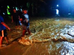 120 Rumah di Jember Dilanda Banjir Akibat Meluapnya Sungai Tanggul