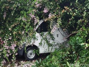 Foto-foto Mobil Tertimpa Pohon Tumbang di Bandung