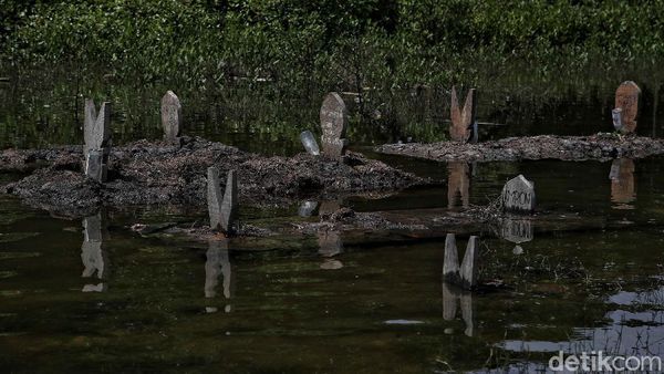 Melihat Makam-makam yang Terendam Banjir Rob di Kabupaten Bekasi