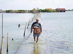 Pemerintah Didorong Bentuk Lembaga Khusus Pengelola Dana Iklim Daerah