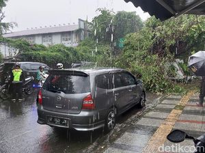 Hujan Deras di Bandung, Pohon Tumbang Timpa Mobil
