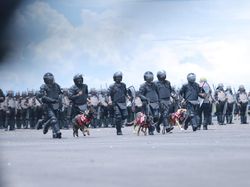TNI-Polri Tambah Personel Pengamanan WSBK Mandalika 2 Kali Lipat Jadi 3.000