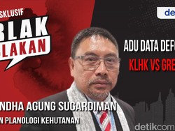 Blak-blakan Rhuanda Agung Sugardiman: Data Deforestasi RI Sangat Akurat