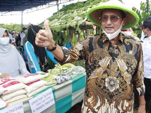 Ini Saran Waket MPR untuk Pemda agar Tingkatkan Komoditas Pangan