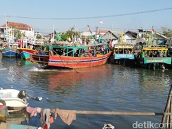 Nelayan Pasuruan Hilang Tenggelam Usai Jatuh dari Perahu