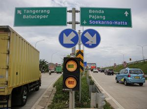 Sapi Lepas di Tol Cengkareng! Lari Sejauh 3,8 Km Sapi Lepas di Tol Cengkareng! Lari Sejauh 3,8 Km