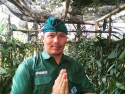 Manisnya Bisnis Vanili, Petani di Bali Bisa Raup Omzet Rp 400 Juta