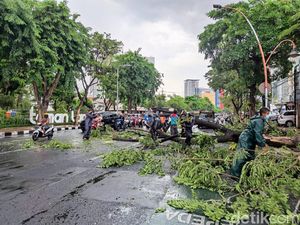 Bestie... Saat Hujan Dilarang Berteduh di Bawah Pohon, Ini Alasannya