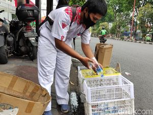 Siswa SMK di Sidoarjo Ini Jadi Pemulung Saat Berangkat dan Pulang Sekolah