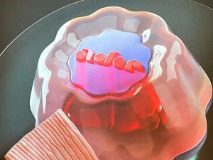 HYBE Luncurkan ADOR, Label Baru untuk Debutkan Girlband di 2022