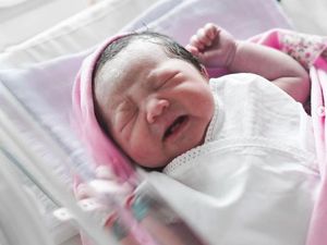 2 Gigi yang Ada di Bayi Arief Muhammad-Tiara Akhirnya Dicabut 2 Gigi yang Ada di Bayi Arief Muhammad-Tiara Akhirnya Dicabut