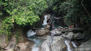 Potret Wisata Alam Hits di Bogor, Bikin Hati Adem