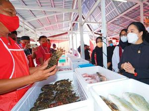 Bertemu Nelayan dan Kunjungi TPI Mandar, Puan Borong Olahan Laut UMKM Banyuwangi