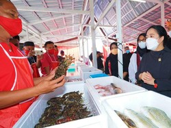 Bertemu Nelayan dan Kunjungi TPI Mandar, Puan Borong Olahan Laut UMKM Banyuwangi