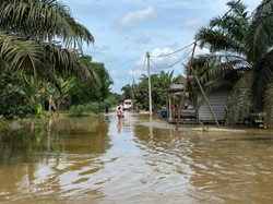 Hujan Deras-Sungai Meluap, 2 Desa di Riau Terendam Banjir hingga 1 Meter