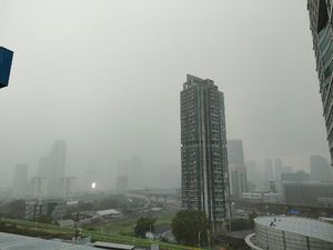 Jakarta Diguyur Hujan Deras, Waspada Banjir dan Pohon Tumbang