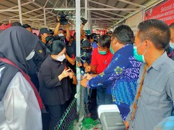Puan Maharani Belajar Jahit Jala ke Nelayan Banyuwangi