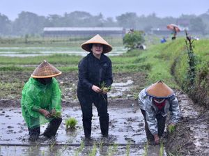 Melampaui Politik Pencitraan