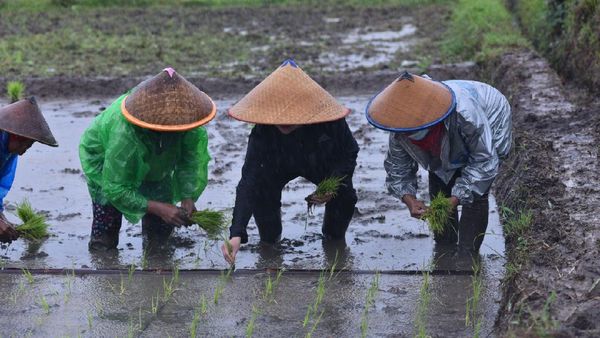 Potret Puan Menyatu dengan Rakyat yang Disindir Susi-Fadli