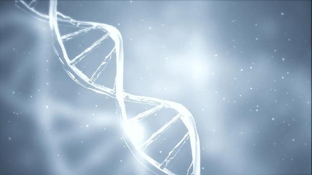 Ilustrasi White Cell DNA