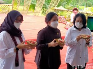 Kedatangan Puan Maharani Berikan Dampak Ekonomi Bagi Warga Banyuwangi Kedatangan Puan Maharani Berikan Dampak Ekonomi Bagi Warga Banyuwangi