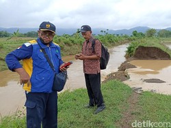 Tanggul Sungai Jebol 21 Meter, Puluhan Hektare Sawah di Tulungagung Terendam