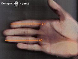 Bentuk Jari Pria Seperti Ini Disebut Jadi Tanda Mr P Panjang, Masa Sih?