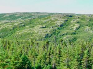 Lempeng Tektonik Ungkap Bumi Datar Zaman Purba